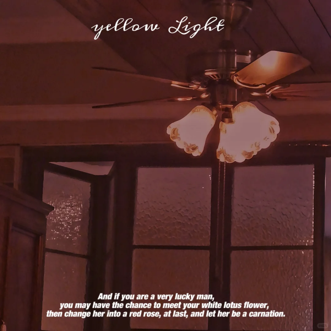 福州探店 | 哈利波特主题咖啡馆&bar