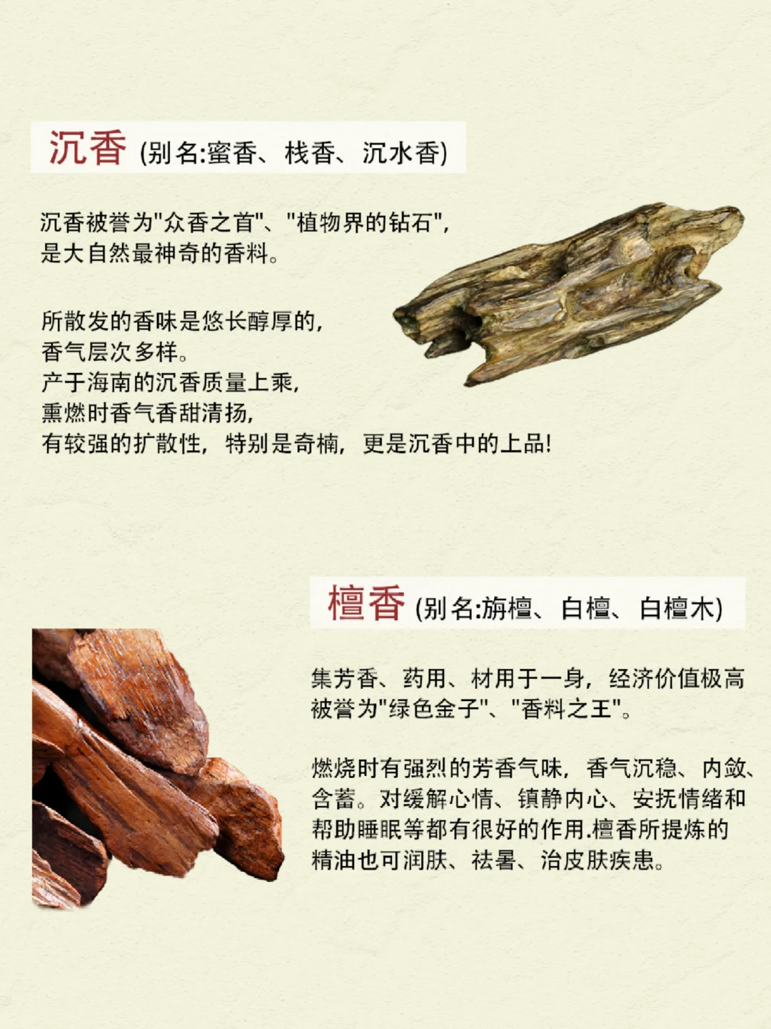 一篇了解中国四大名香，秒变识香达人✅