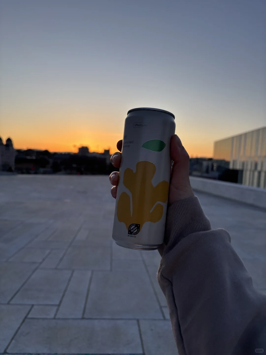 猎奇口味人爱喝挪威姜汁汽水