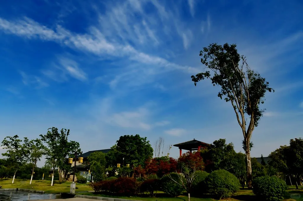 洛阳免费旅游全攻略(外地游客版)