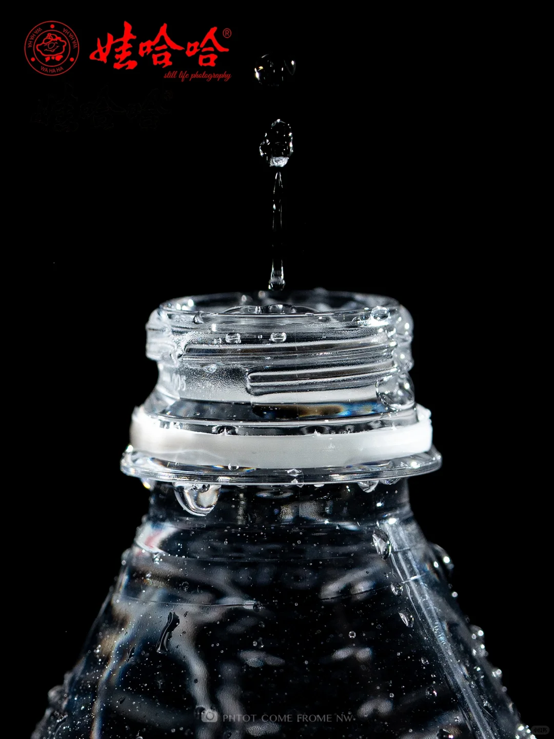 静物摄影丨娃哈哈