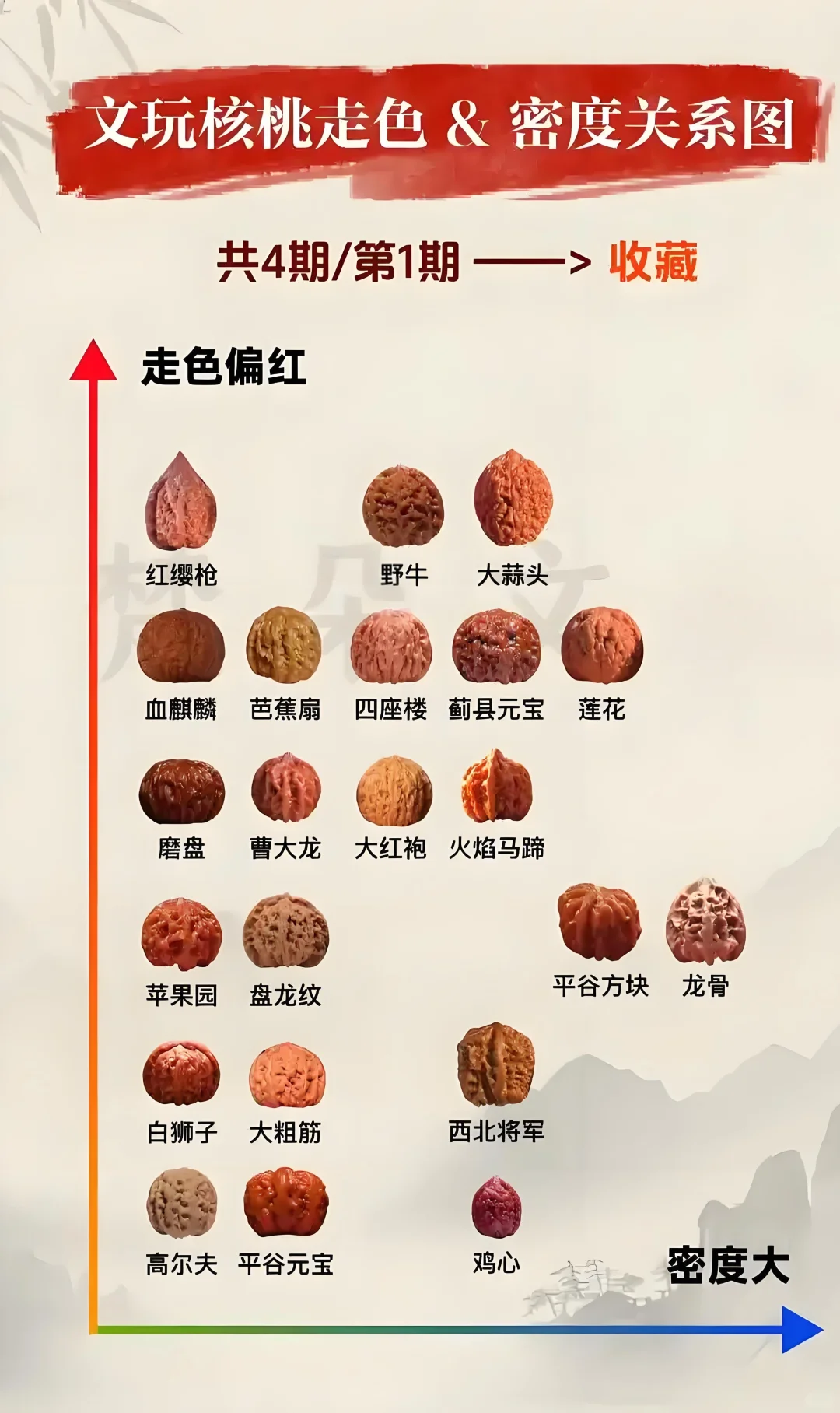 不同密度核桃对比图 + 纹路细节特写