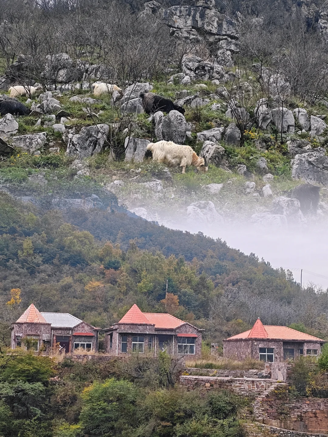郑州出发南太行十字岭一日徒步攻略