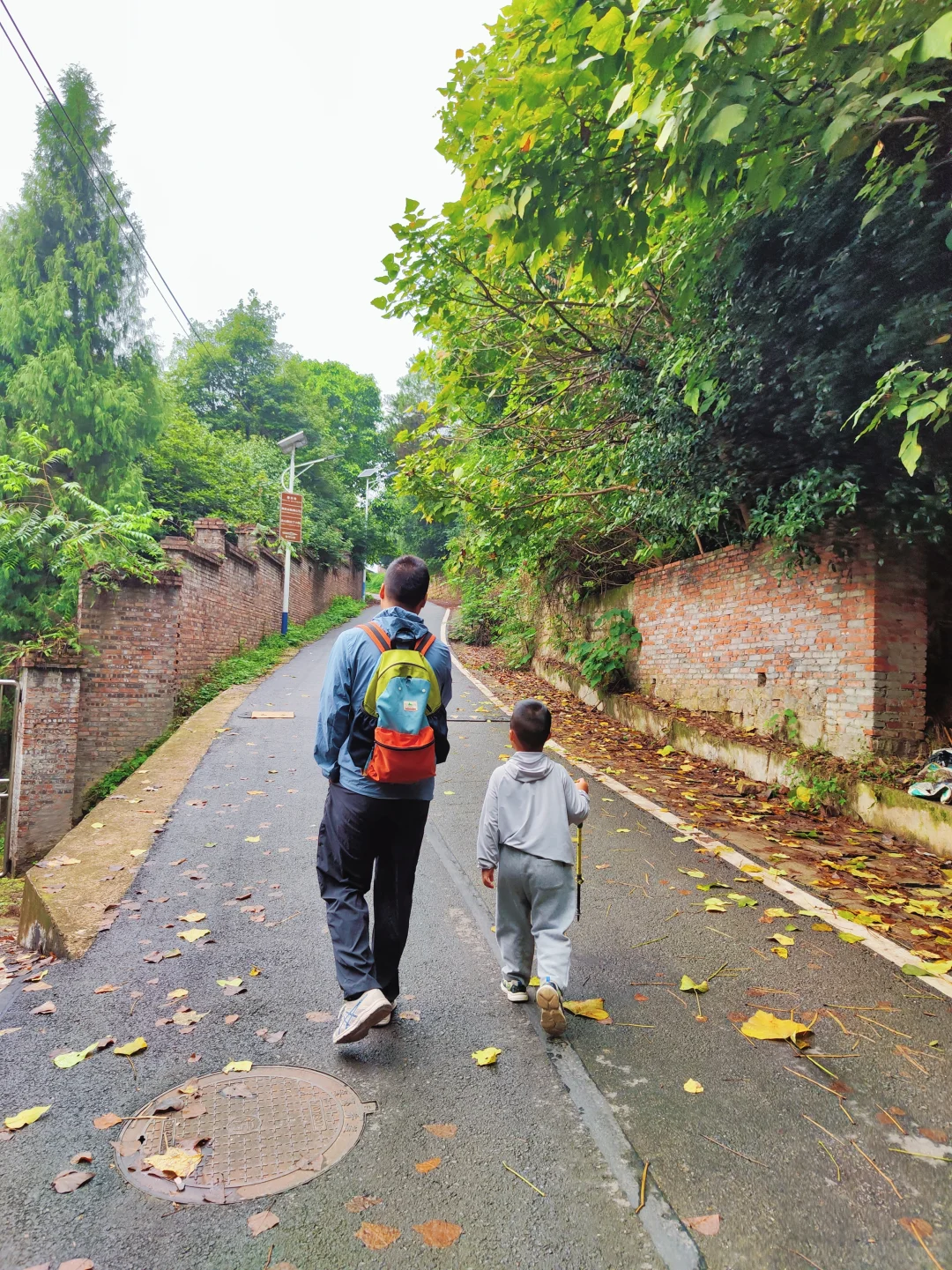 ?重庆遛娃|亲子环线徒步——南山春天岭