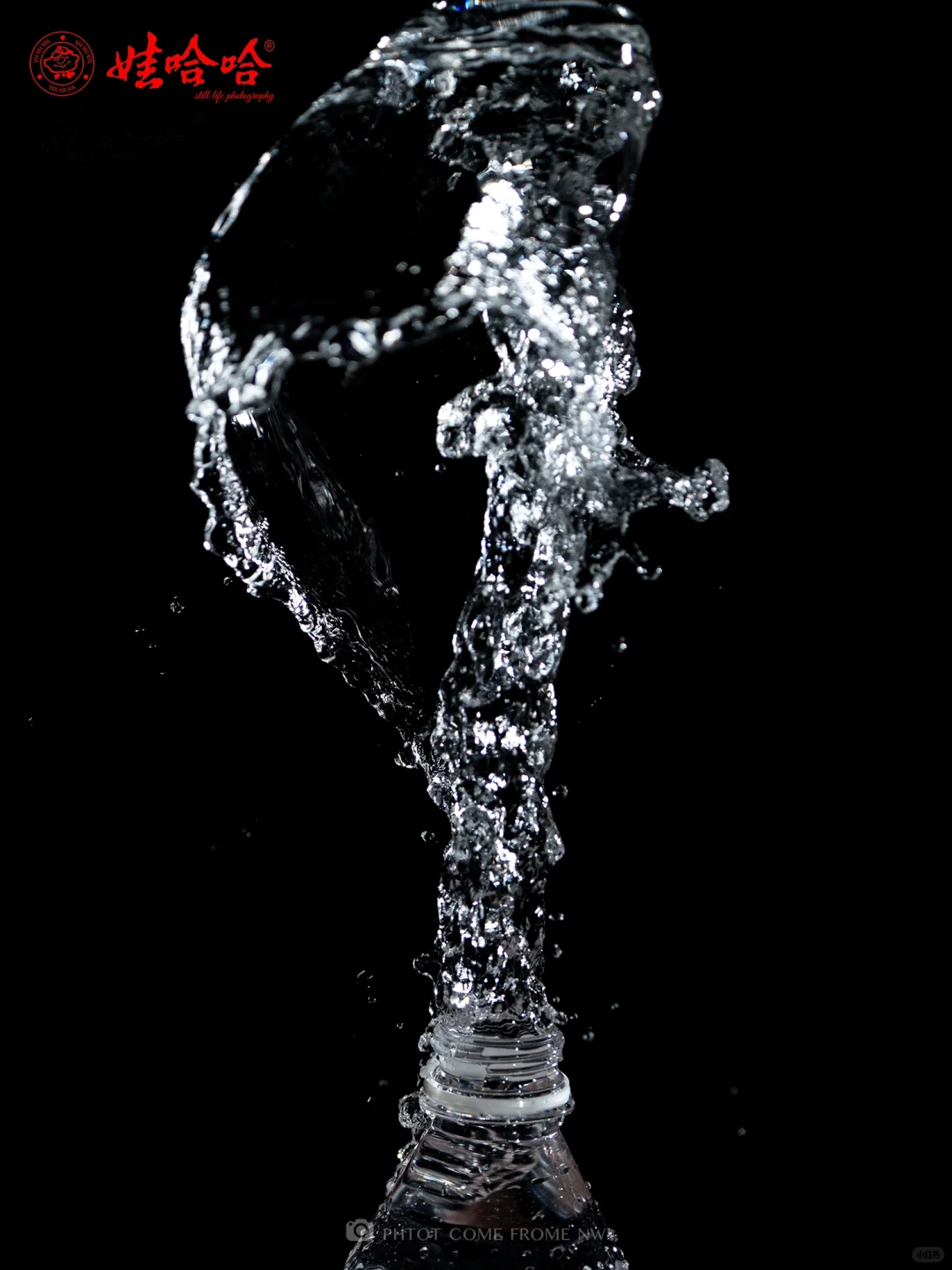 静物摄影丨娃哈哈