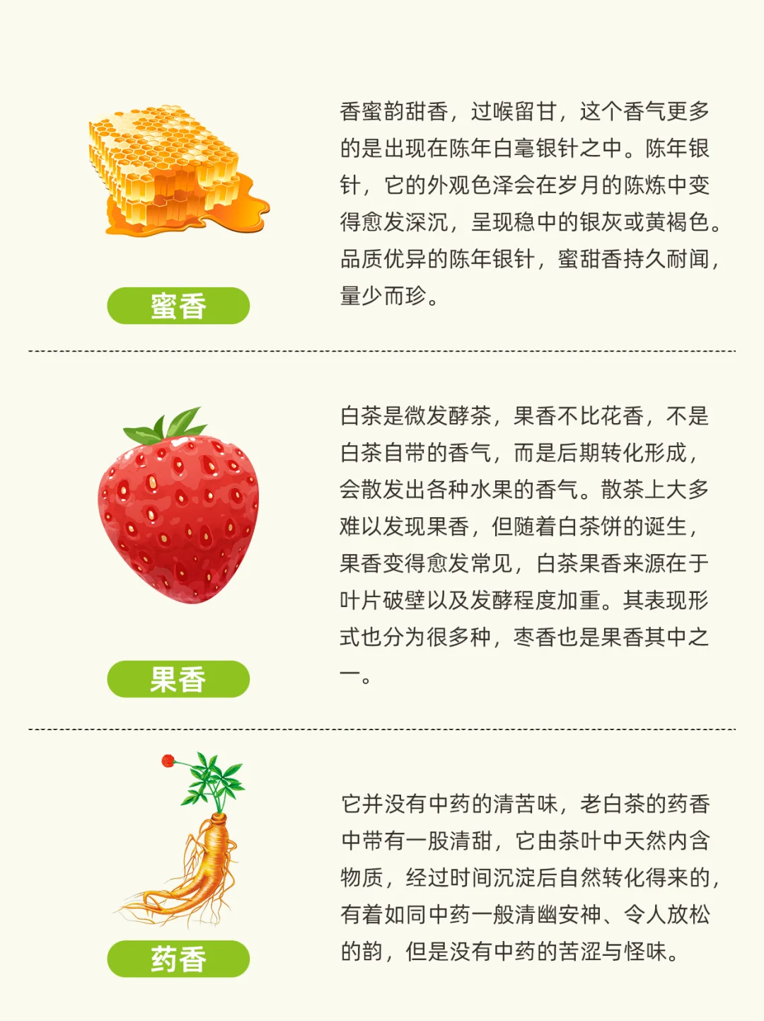 白茶常见的9种香型，看看你喝过几个？