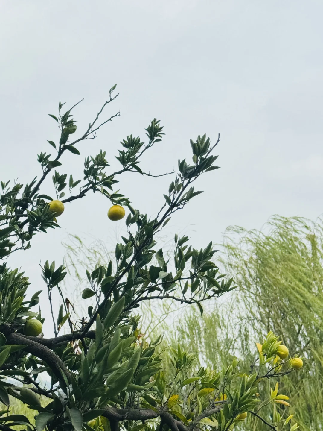 南北湖露营全攻略:湖畔露营+山水浪漫