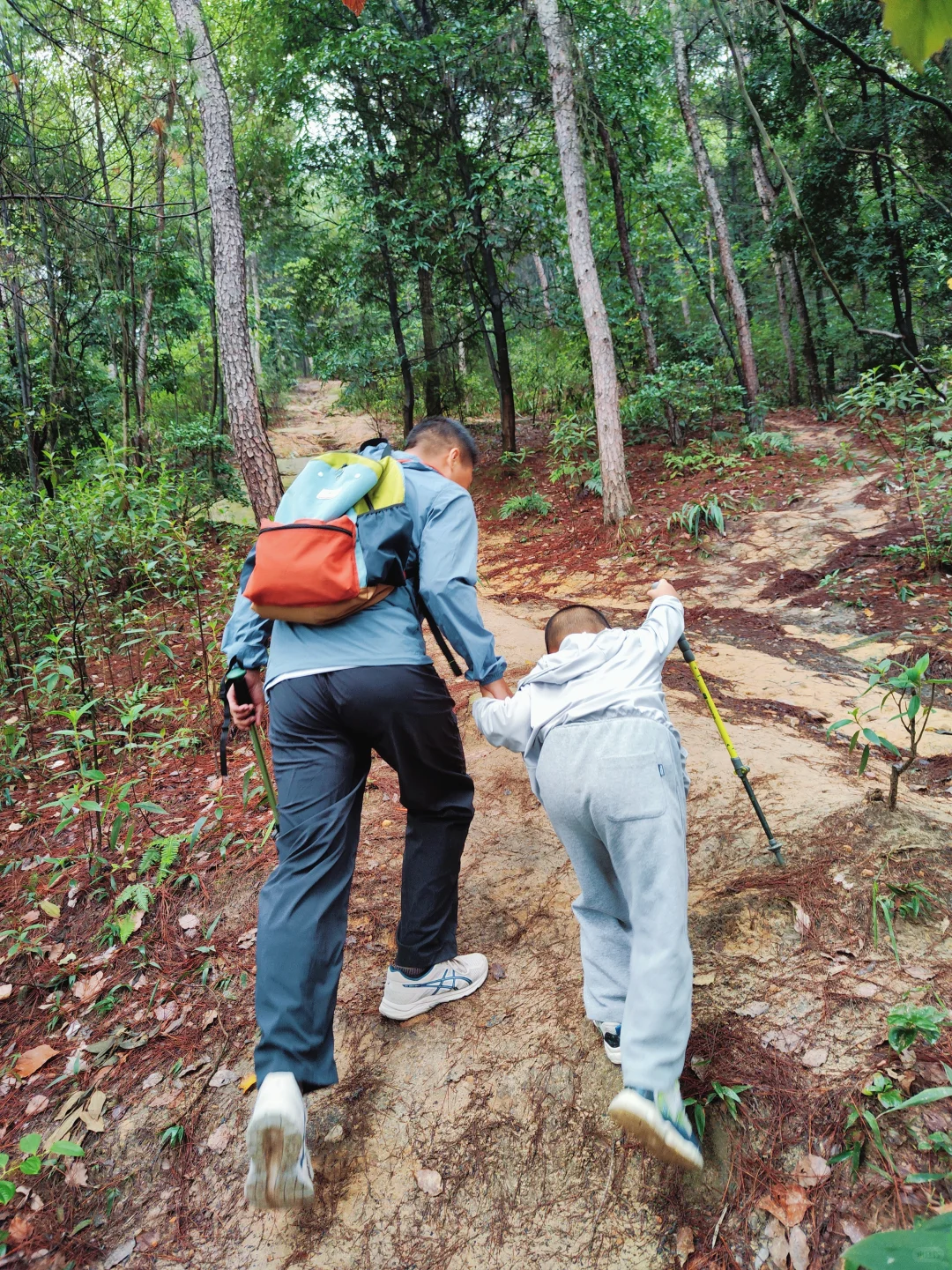 ?重庆遛娃|亲子环线徒步——南山春天岭