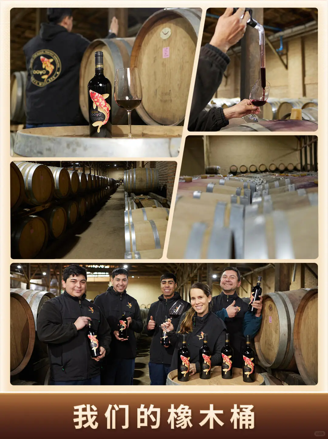 酒庄直供！源头发货！真正没有中间商！