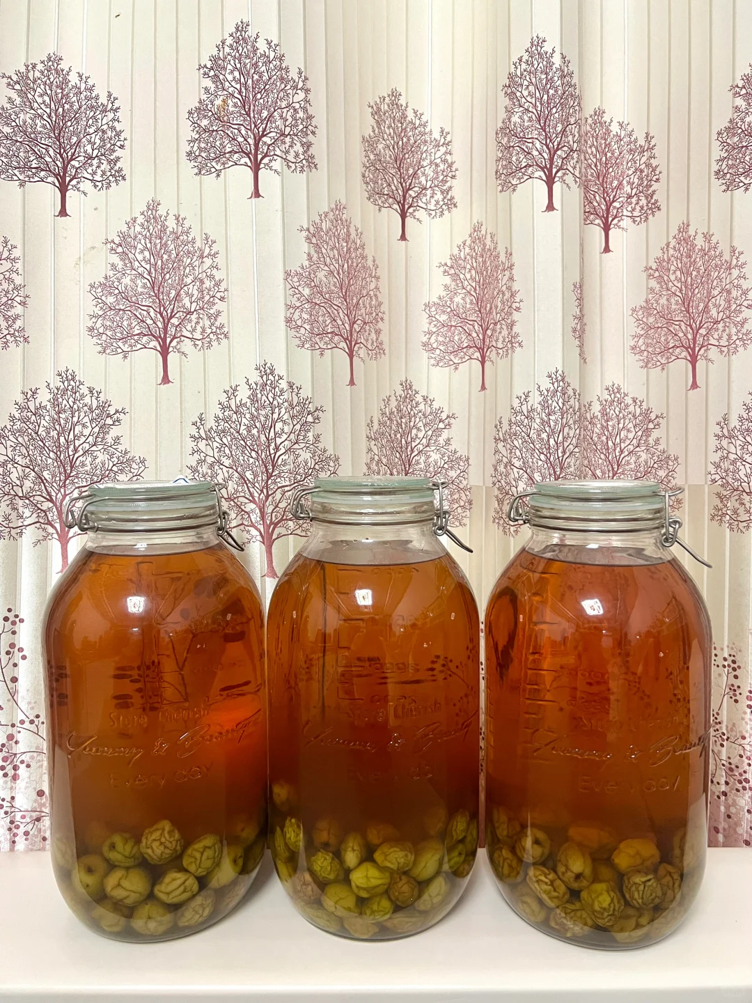 2024年泡的青梅酒都很成功。/附加干货分享