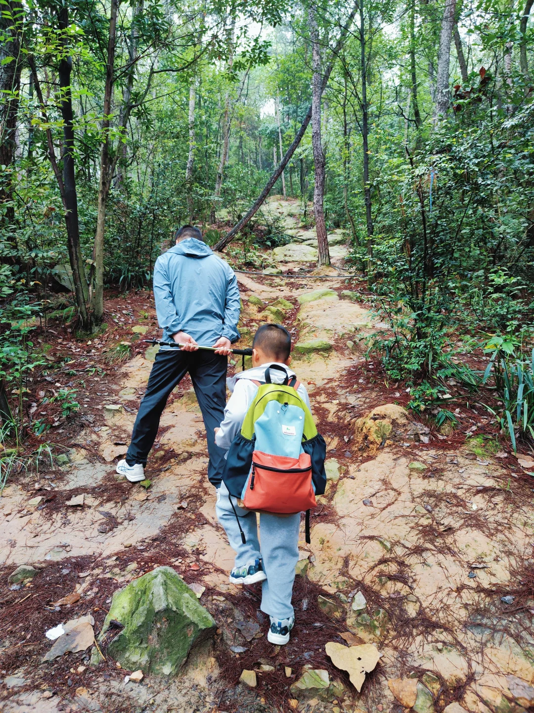 ?重庆遛娃|亲子环线徒步——南山春天岭