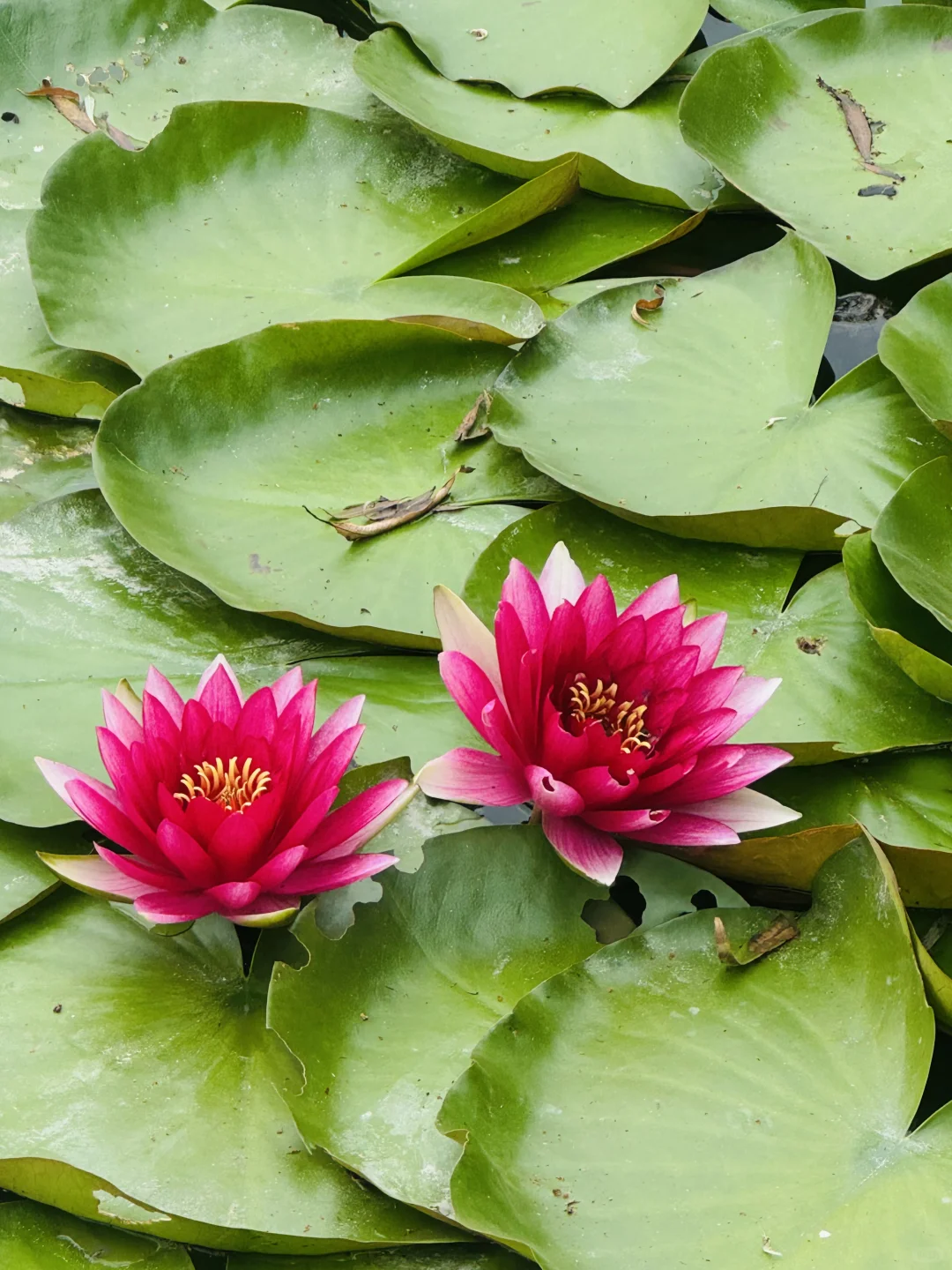 南北湖露营全攻略:湖畔露营+山水浪漫