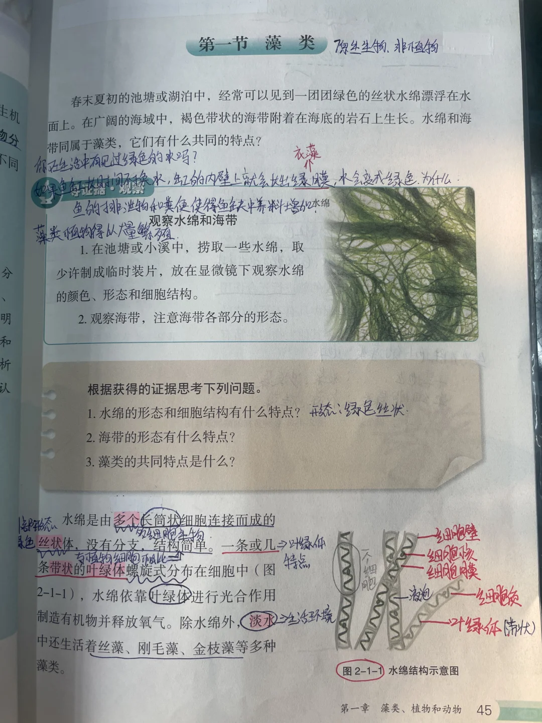 2024新冀少版七年级上