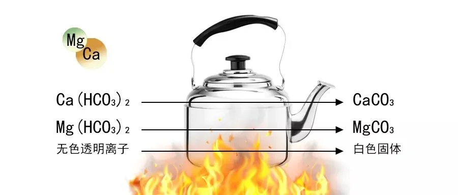 一些关于水的图片