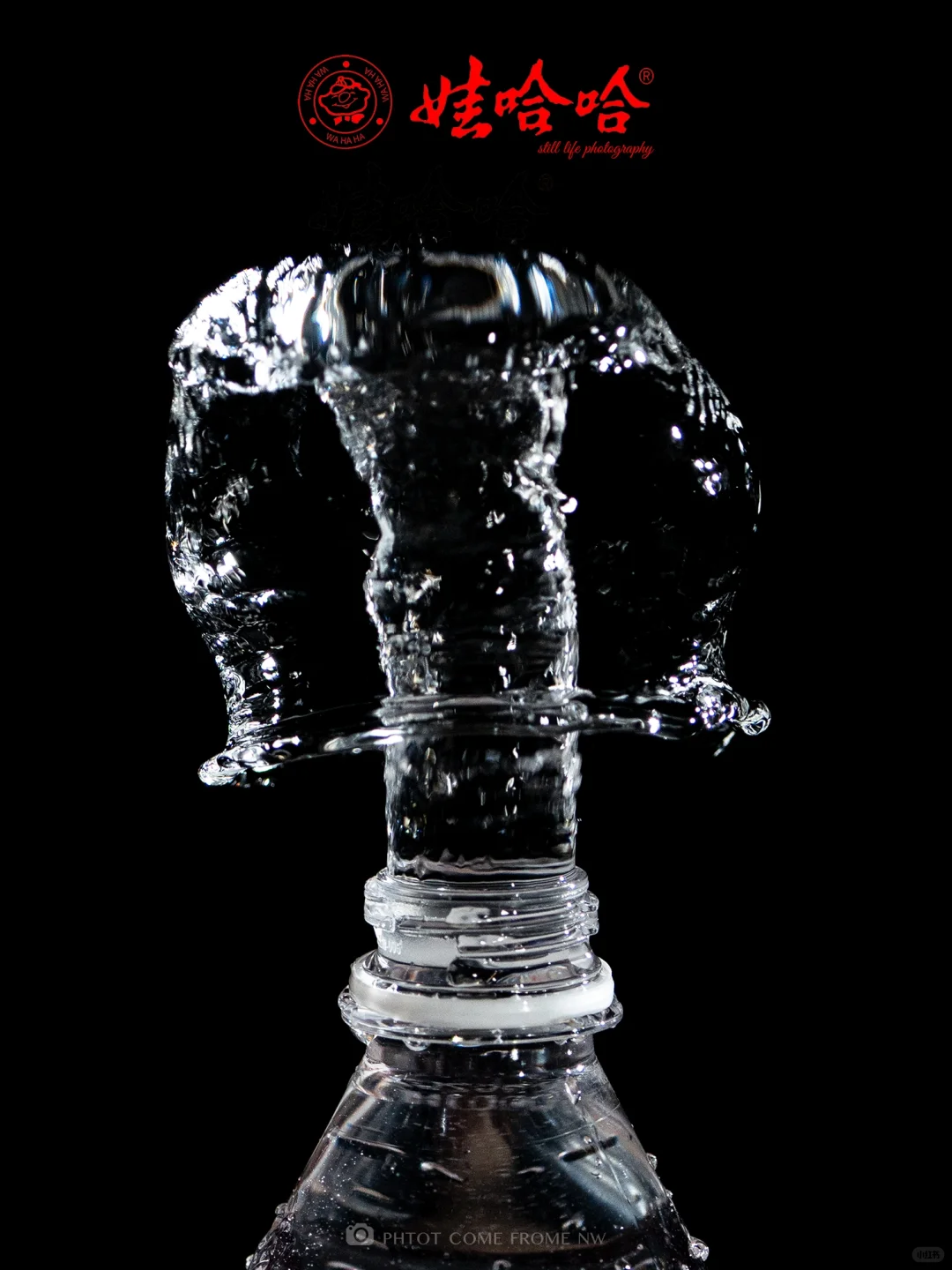 静物摄影丨娃哈哈