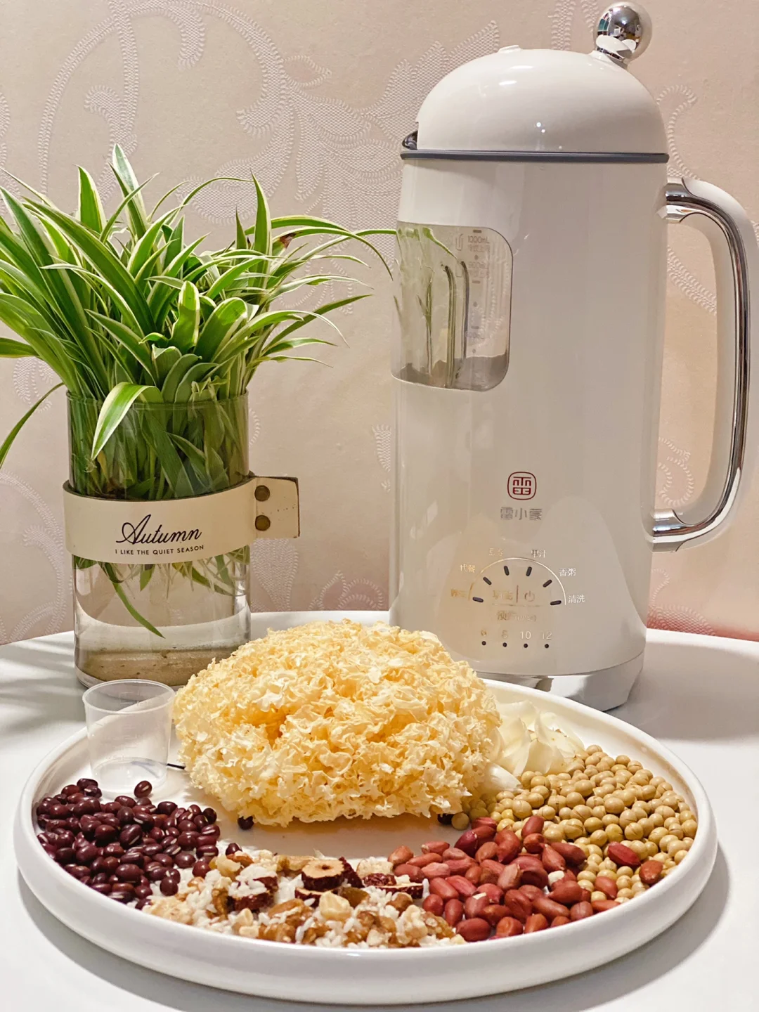 399?破壁机的快乐雷小蒙让我get到❗️