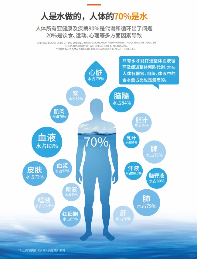 ?水：人体健康的关键密码