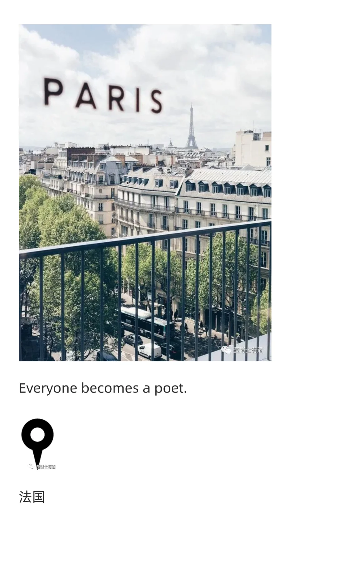 一只葡萄酒女博士的故事