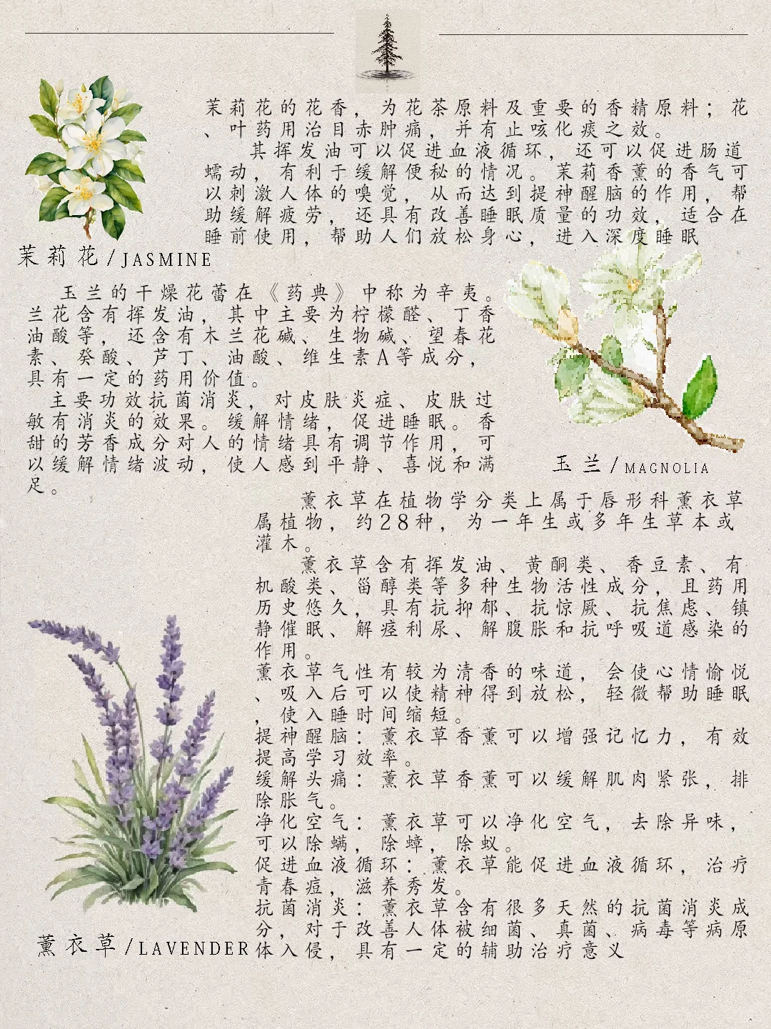 小众又治愈的花香疗法?