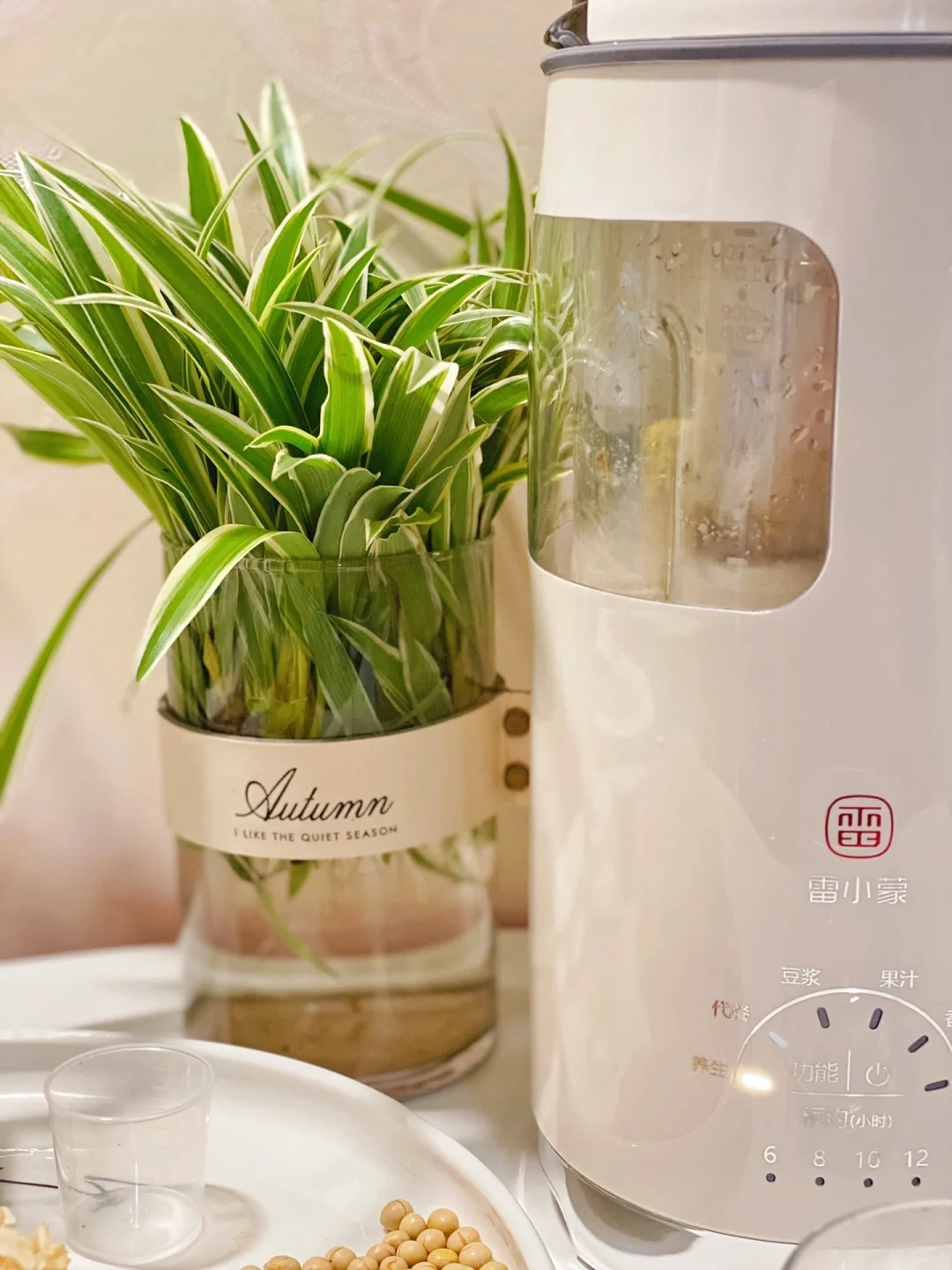 399?破壁机的快乐雷小蒙让我get到❗️