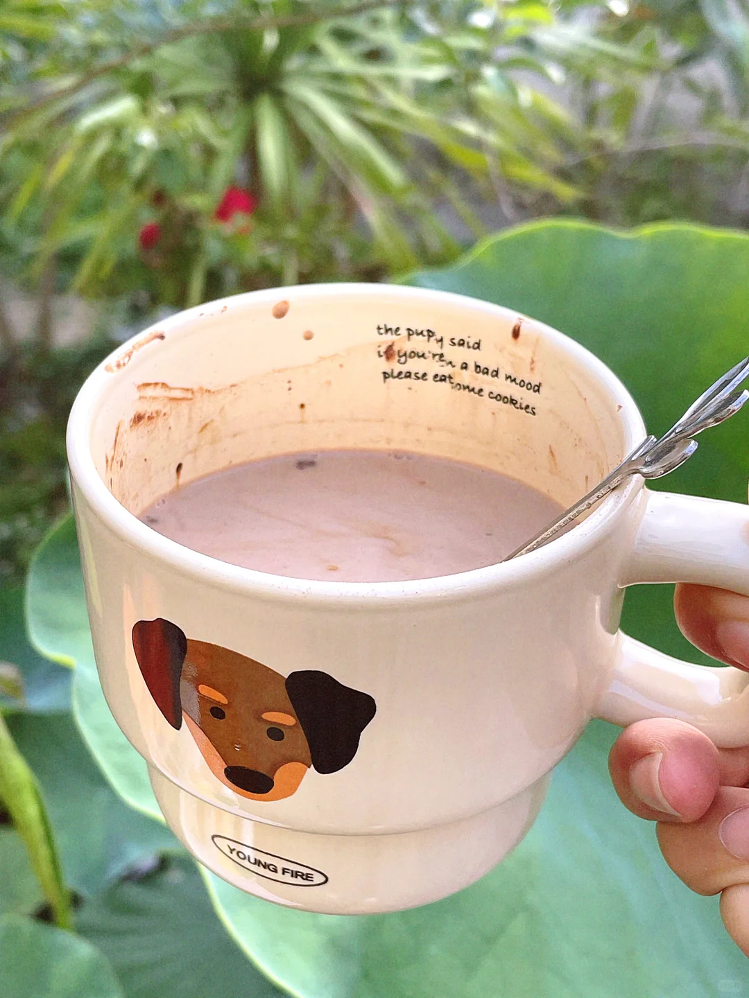 生可可粉真的万物皆可搭！