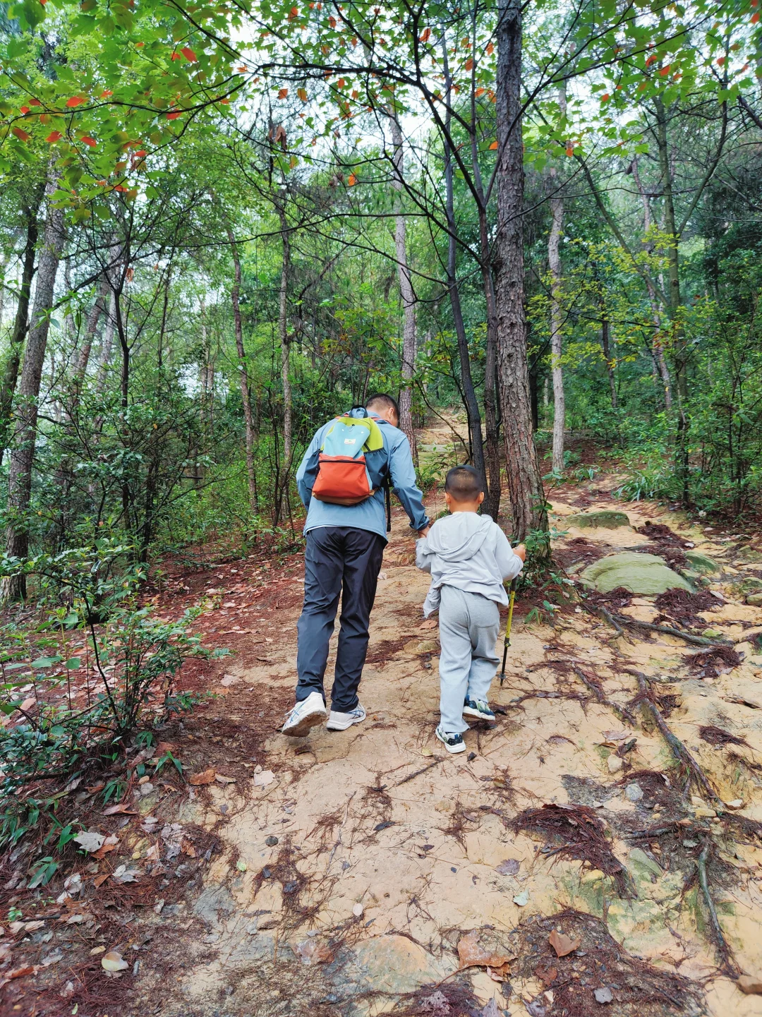 ?重庆遛娃|亲子环线徒步——南山春天岭