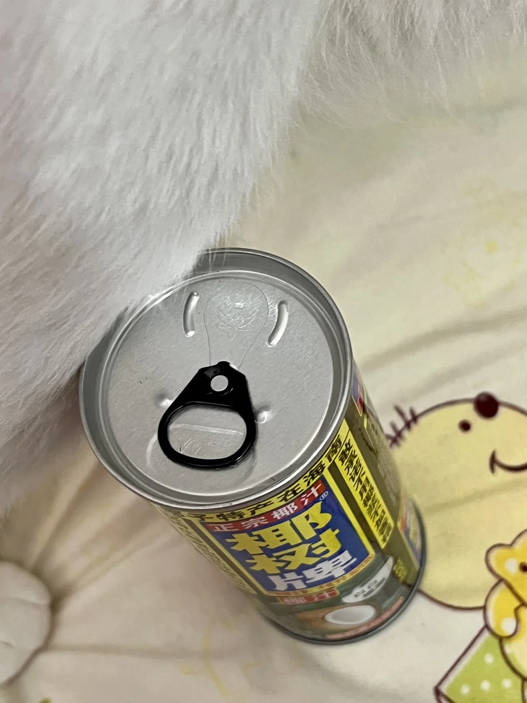 0⃣️0⃣️2⃣️椰树牌 椰汁