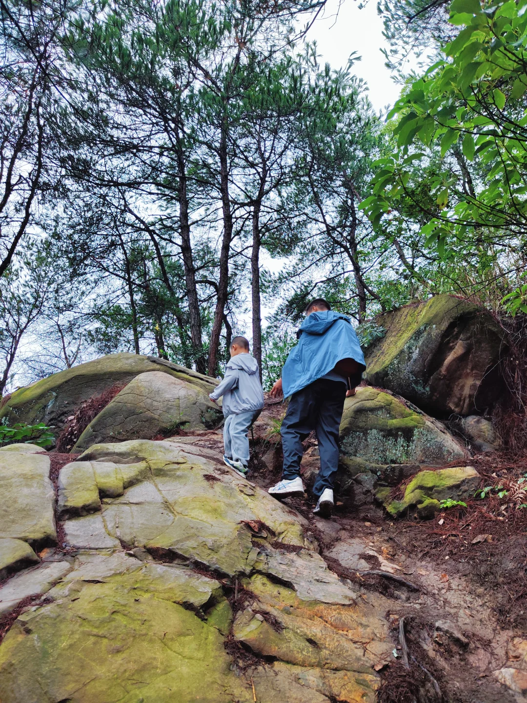 ?重庆遛娃|亲子环线徒步——南山春天岭