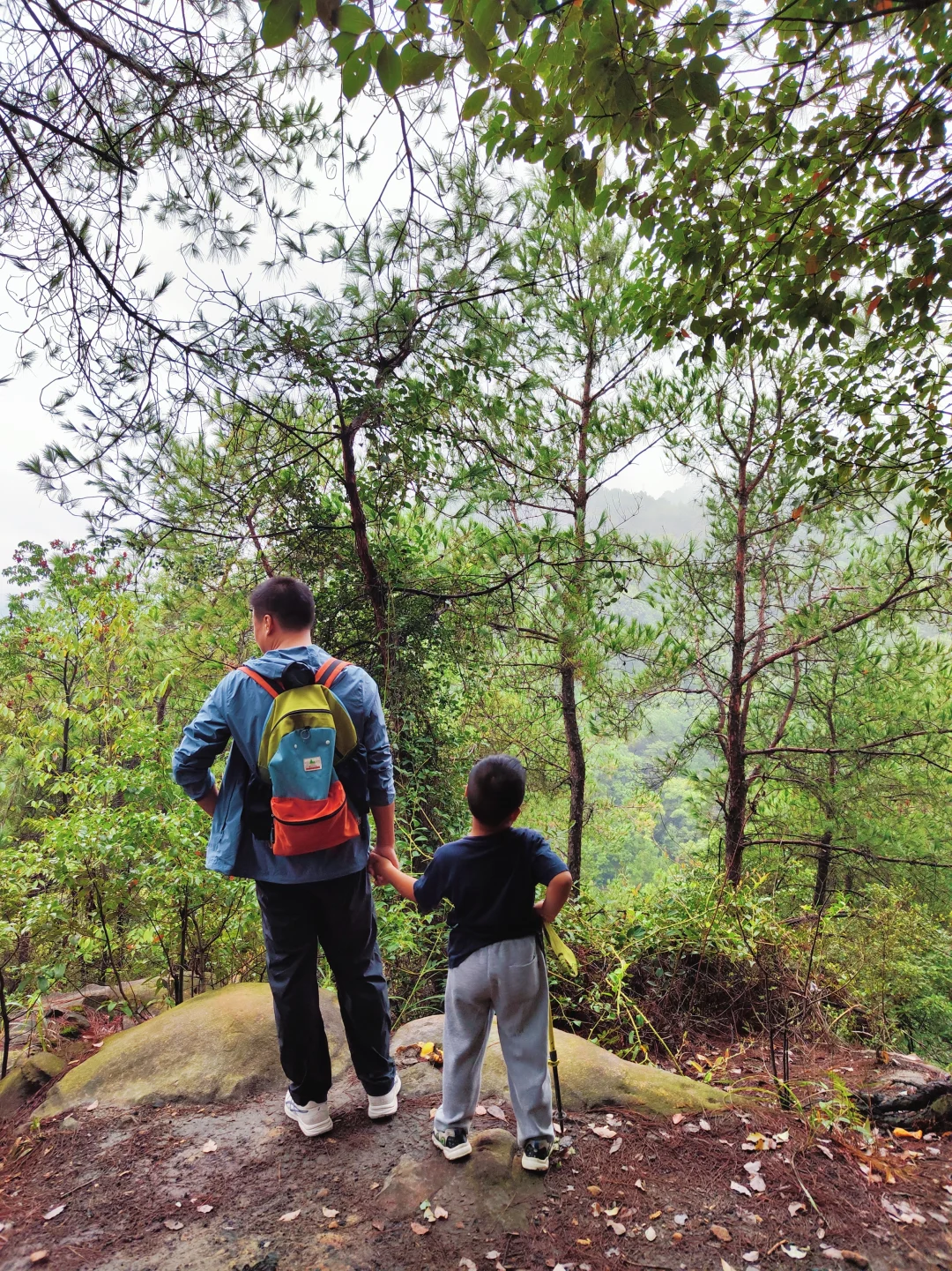 ?重庆遛娃|亲子环线徒步——南山春天岭