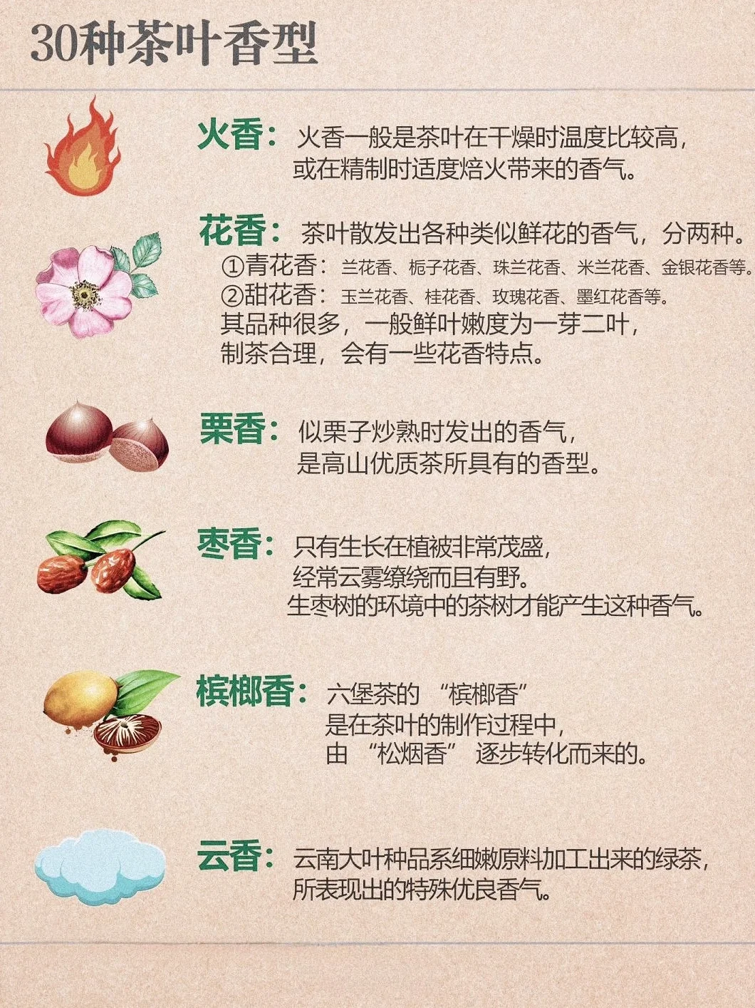 茶知识｜3⃣️0⃣️种茶叶香型，知道一半算你厉害