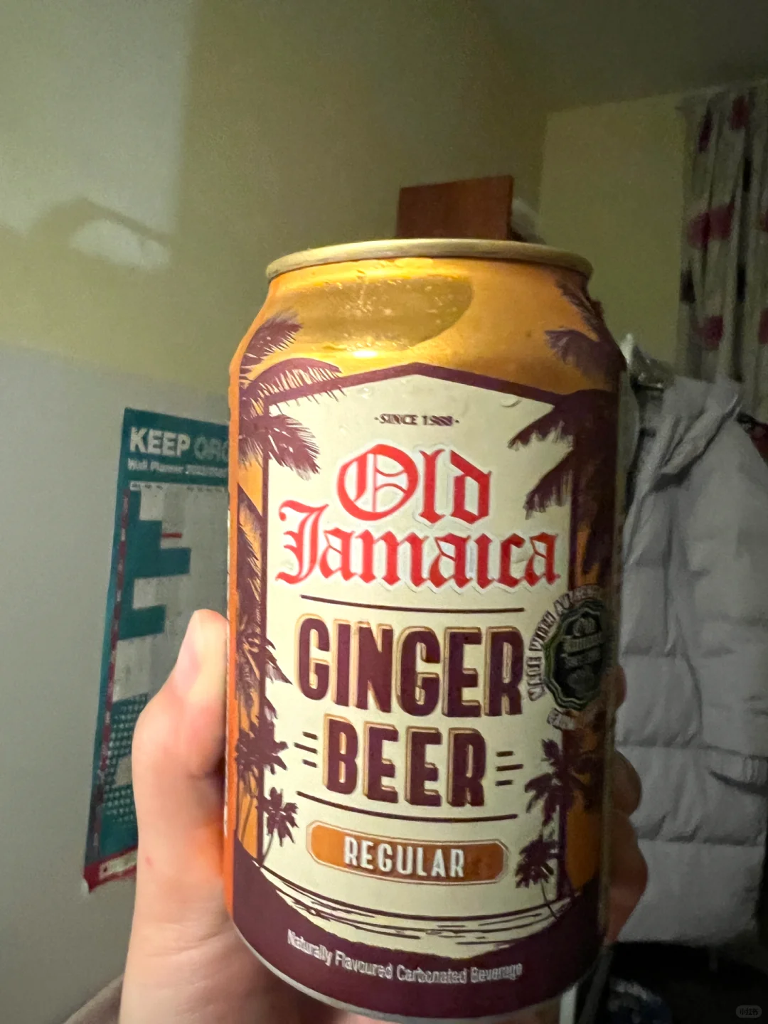 ??60p的姜味汽水真的绝?