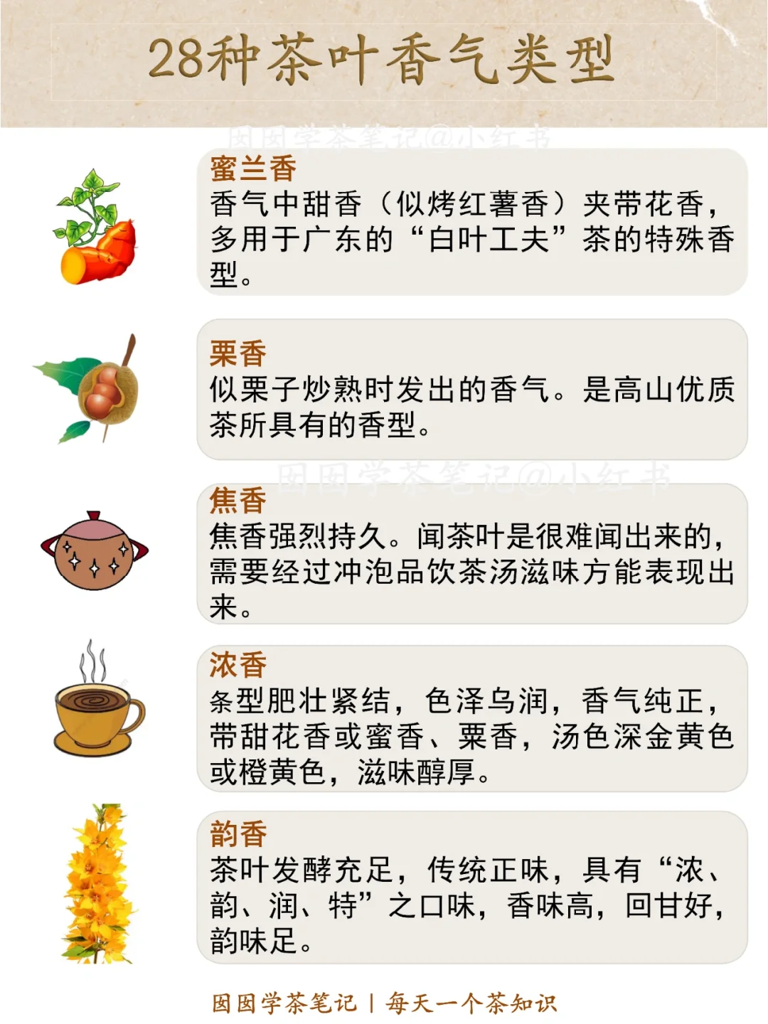 盘点❗️28种常见茶叶香气?你闻过几种？