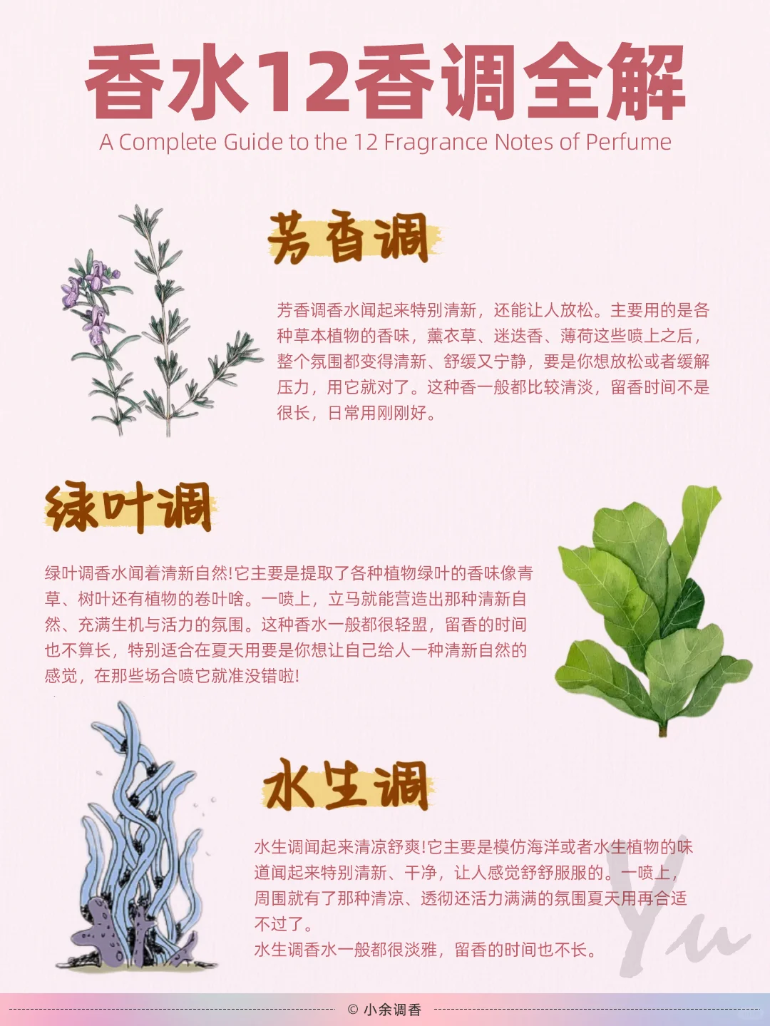 香水知识入门：香水十二香调全解