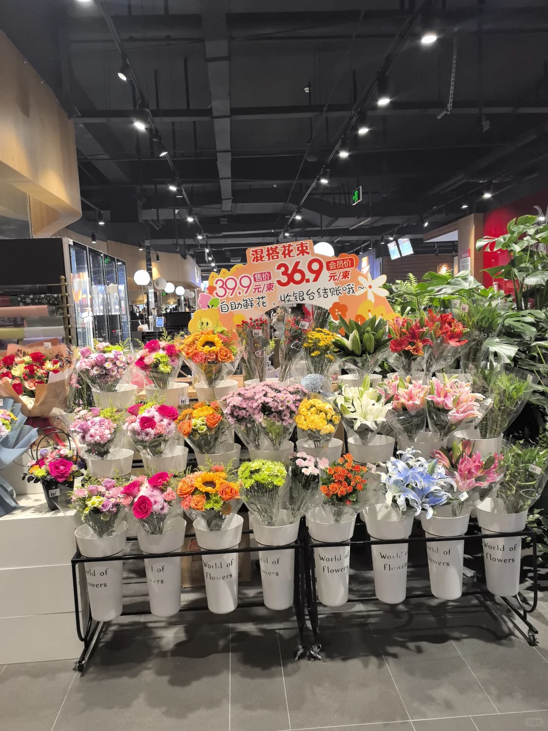 2025.10.29洛阳#易合仓