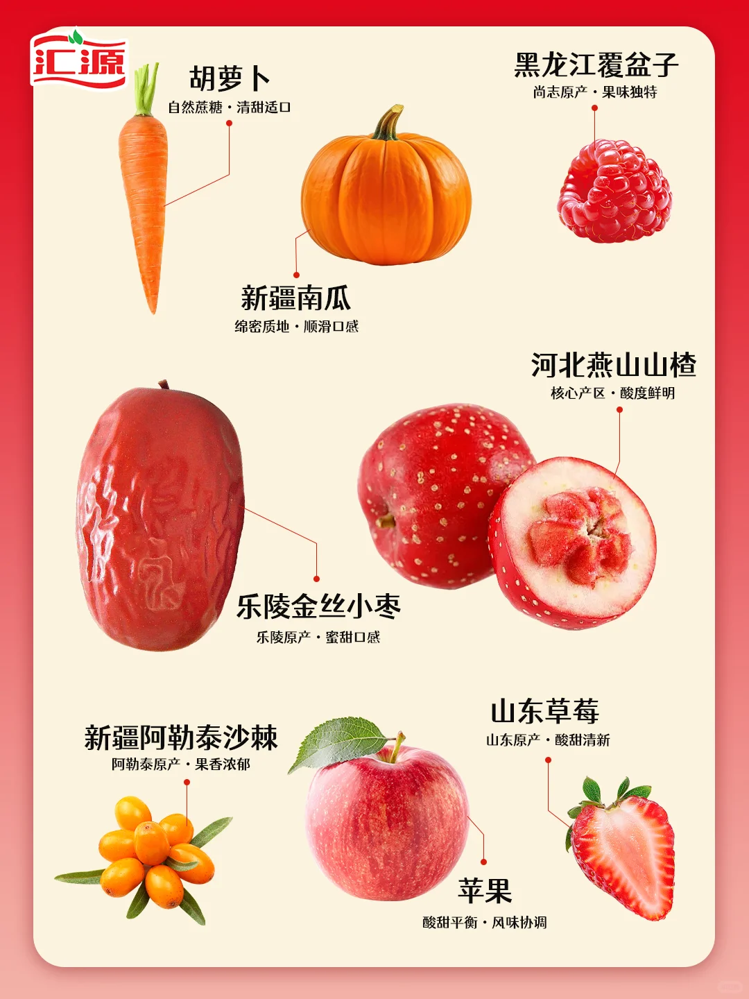 汇源新品上市｜宴席专用喜庆100%混合果蔬汁