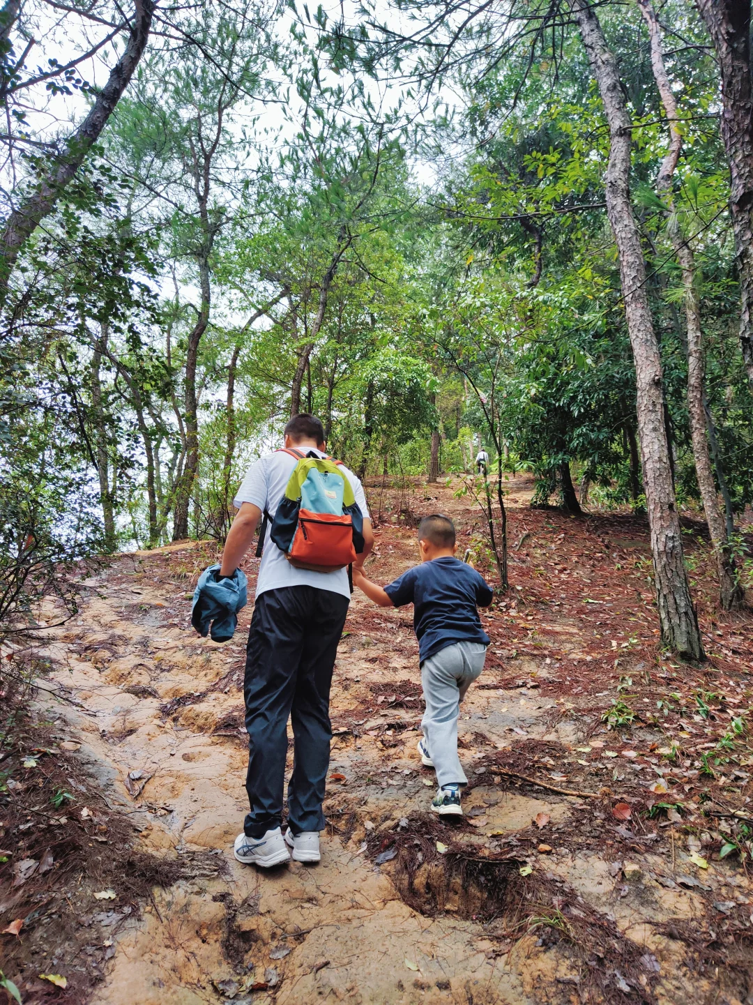 ?重庆遛娃|亲子环线徒步——南山春天岭