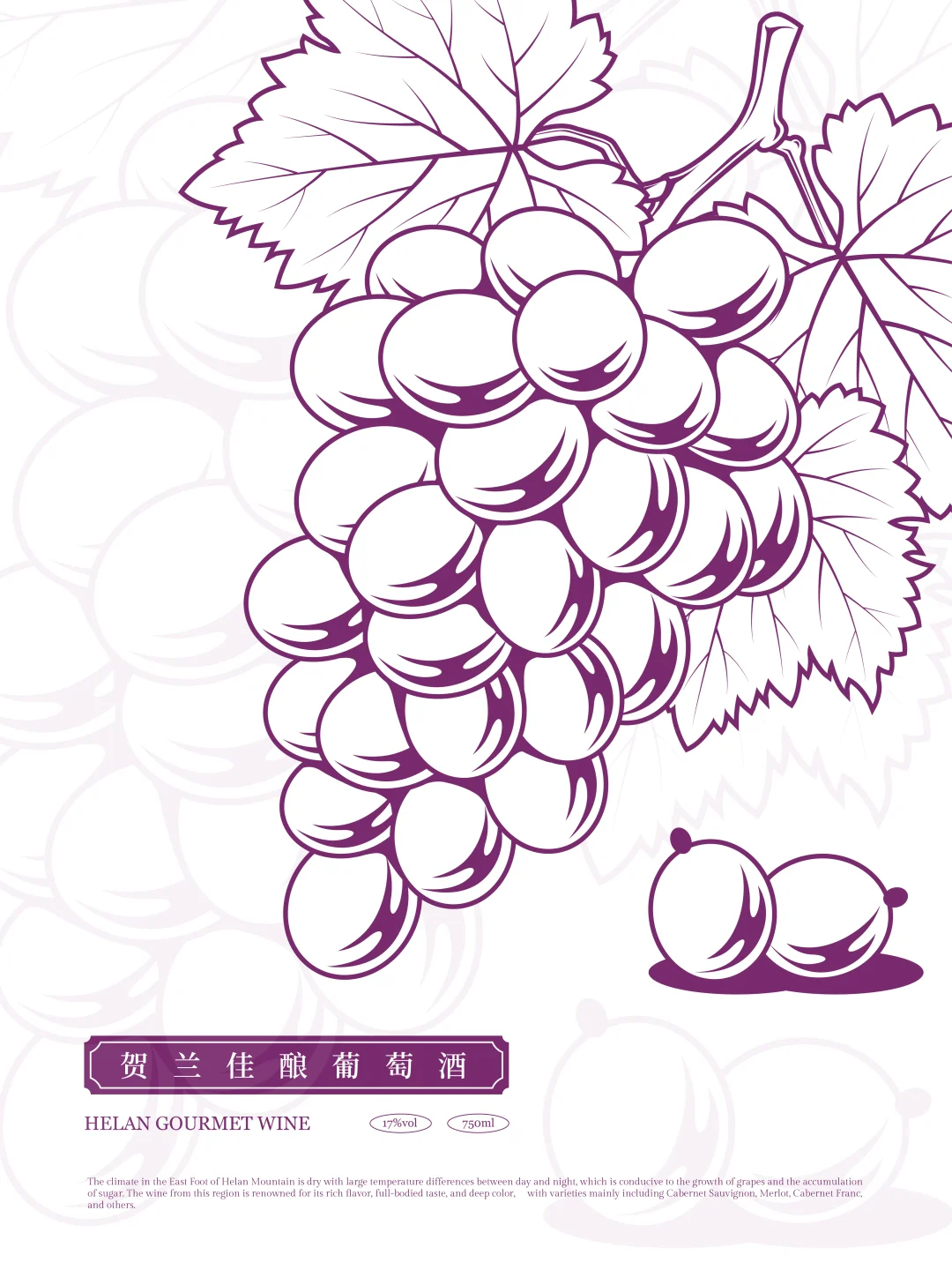 ??葡萄酒包装设计｜矢量插画