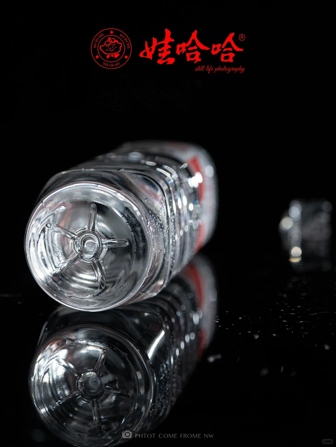 静物摄影丨娃哈哈