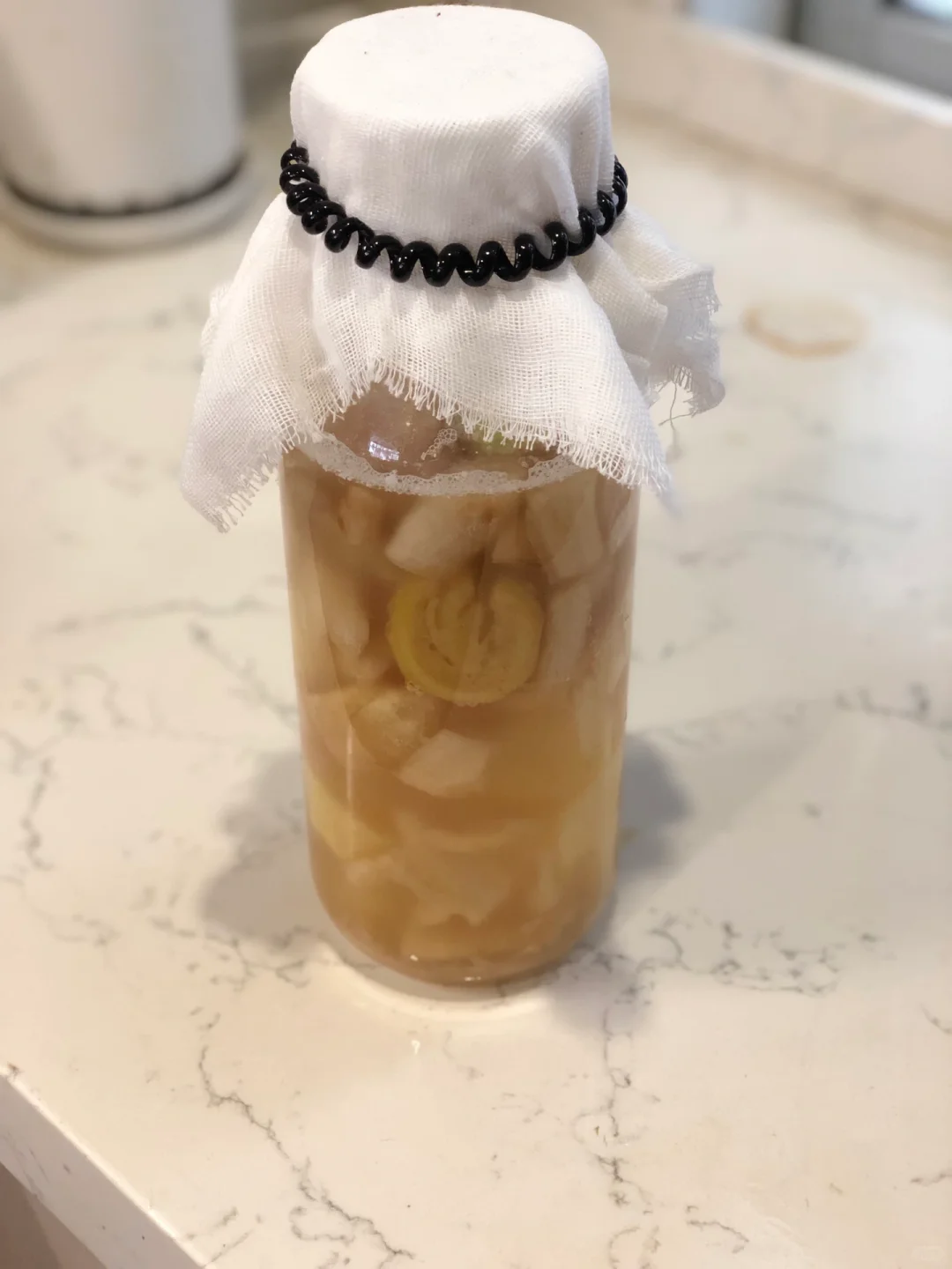 Ginger beer(自然发酵姜汁汽水)——瞎搞日常