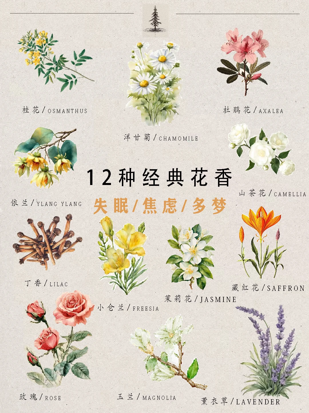 小众又治愈的花香疗法?