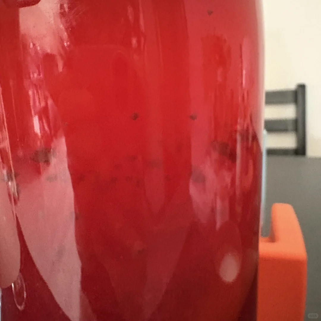 求助：康普茶二发出现这种絮状物正常吗？？？