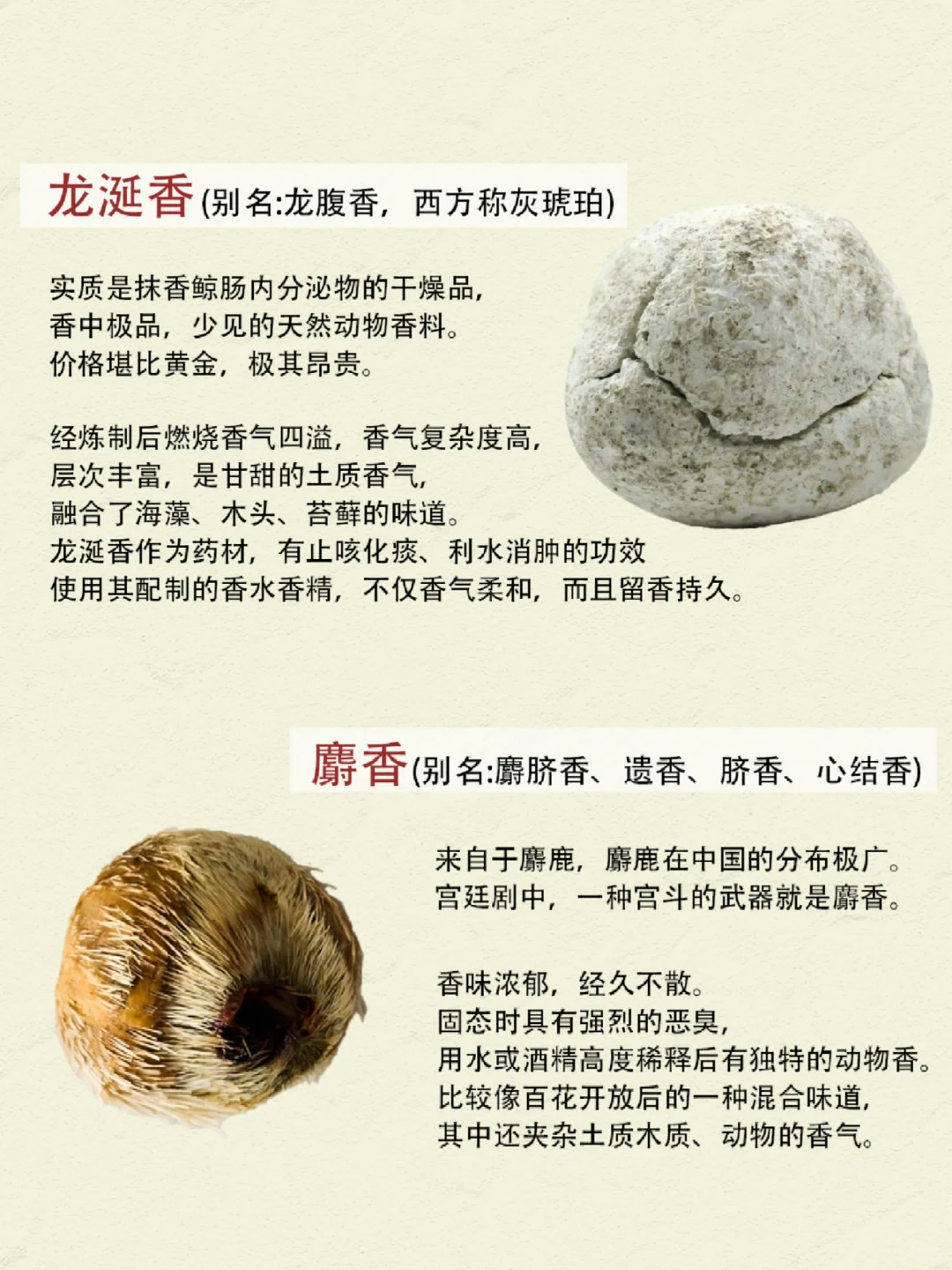 一篇了解中国四大名香，秒变识香达人✅