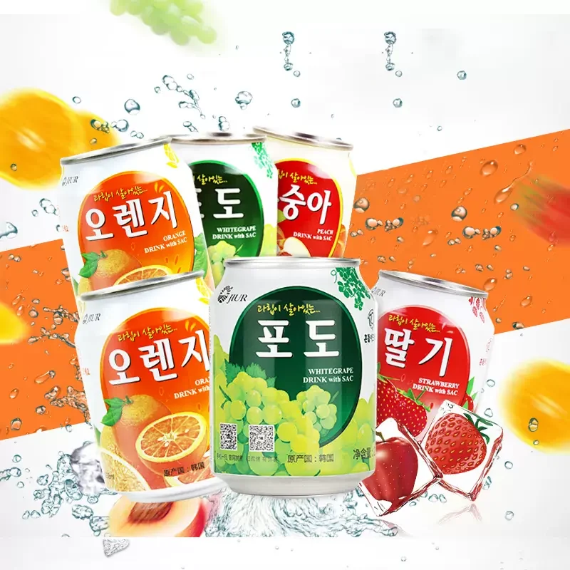 进口饮料九日多口味果肉果汁238ml*6罐露营
