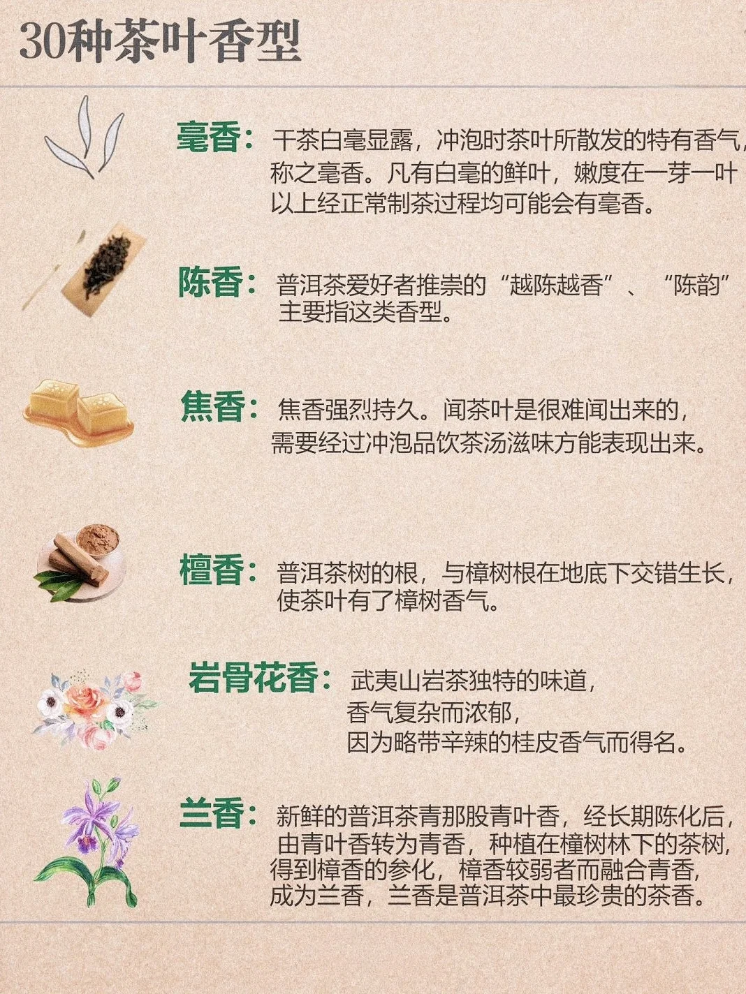茶知识｜3⃣️0⃣️种茶叶香型，知道一半算你厉害