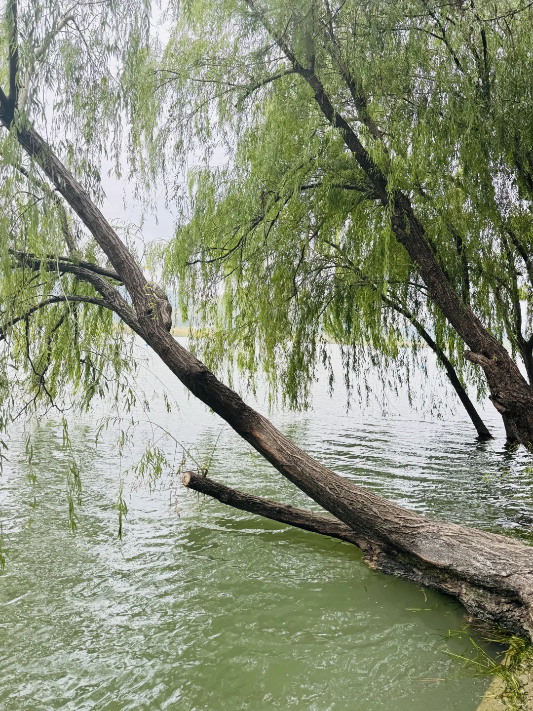 南北湖露营全攻略:湖畔露营+山水浪漫