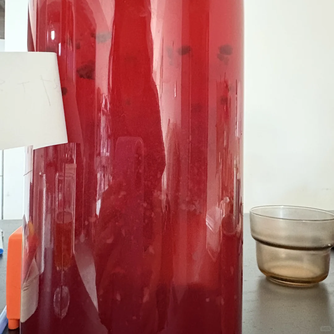 求助：康普茶二发出现这种絮状物正常吗？？？