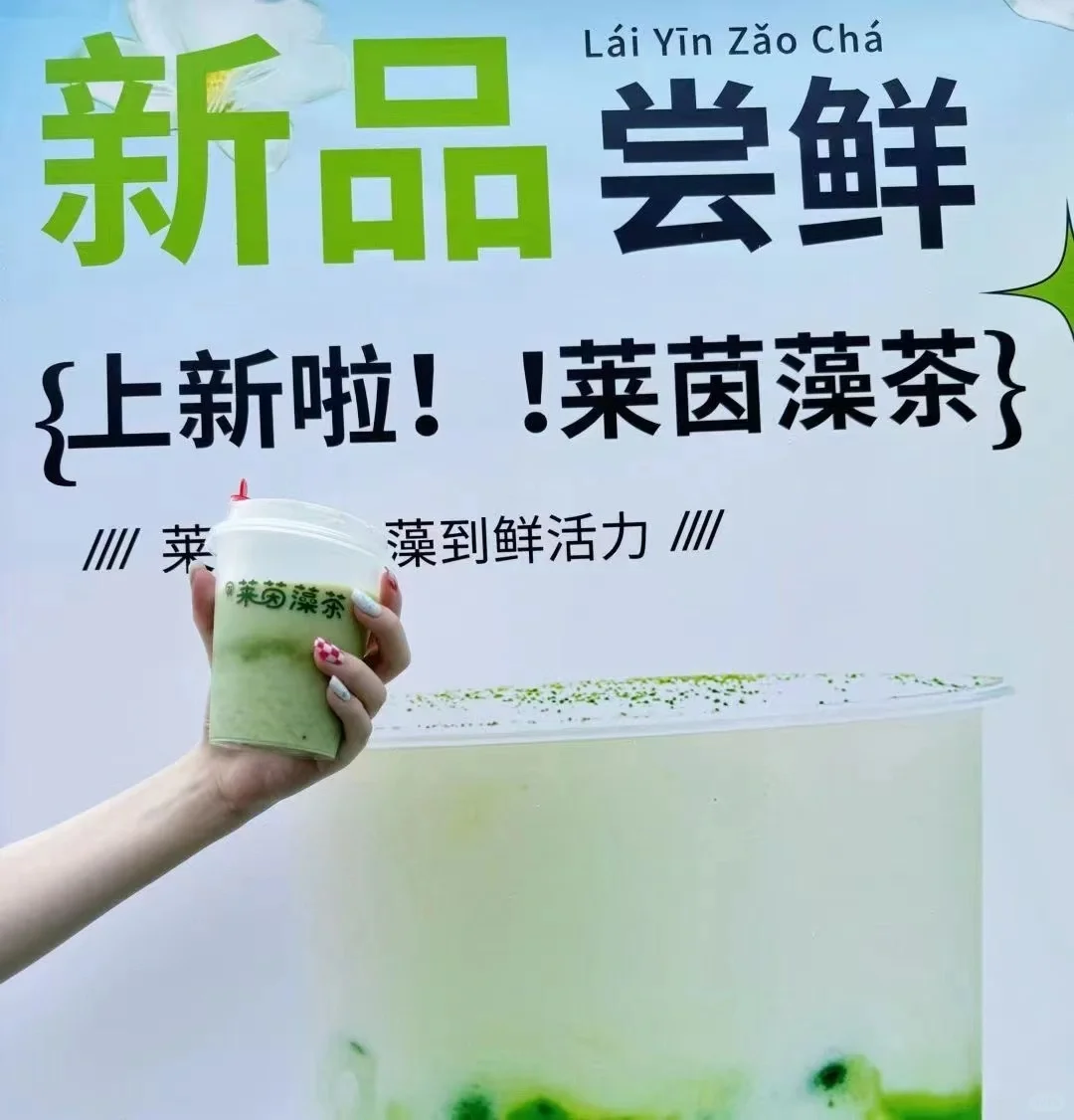 江大研发莱茵藻茶！！！！