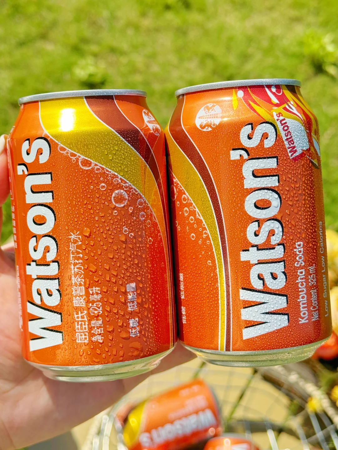 露营带上它被朋友夸赞到麻…?