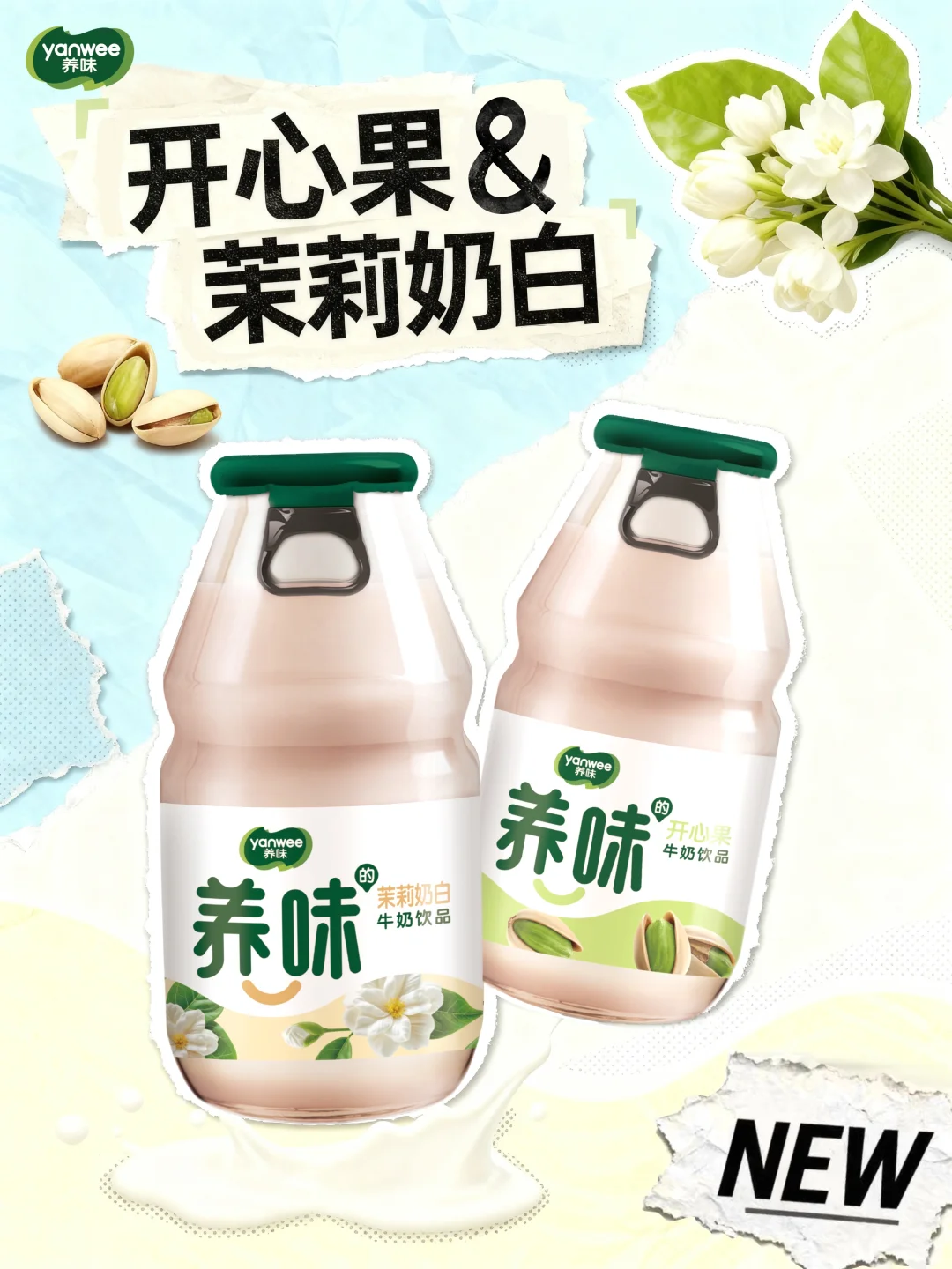 ? |开心果➕茉莉奶白正式官宣!