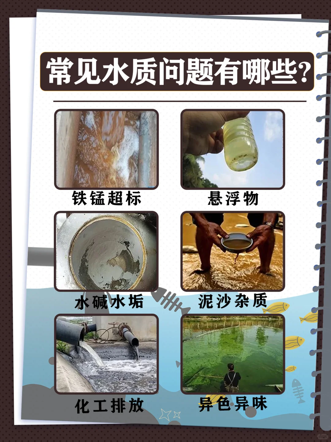 自来水居然有这么多问题？！